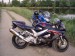 P6100099.JPG